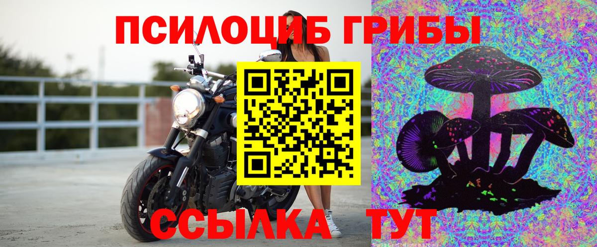 Псилоцибиновые грибы мухоморы  купить наркотики цена  Вход с VPN  Шатура  Псилоцибиновые грибы Psilocybe 